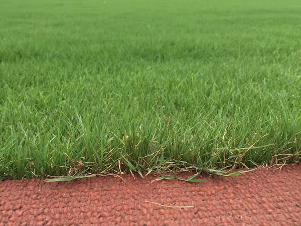 1632721018910615.jpg 3384ccbfebbe5a5f1abe2560b3de1e6c_1527042148220510.jpg