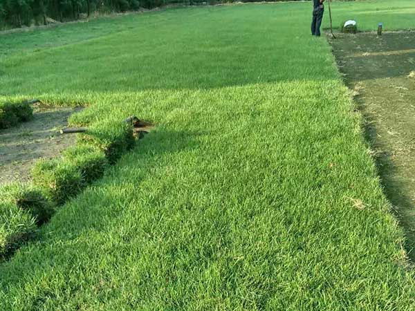 1632721033762726.jpg f098e1450730cd25fba19c8b9b71159f_1527042148781733.jpg