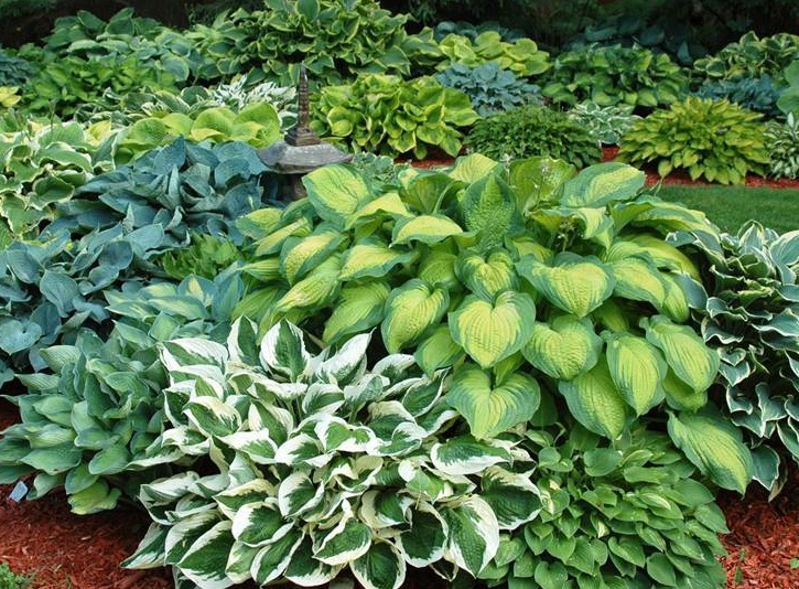 1632723292437590.jpg 1632723292437590.jpg