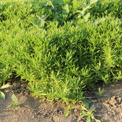 1632738363955561.jpg 1632738363955561.jpg