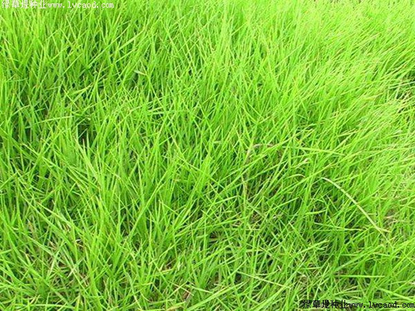 1632743139582114.jpg cbda3e6ef25cd6ed8de6137ee7f7a3c4_1558491692442897.jpg