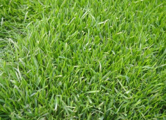 1632797260637927.jpg image.jpg