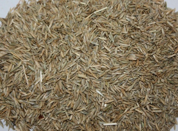 1632800199990919.jpg image.jpg