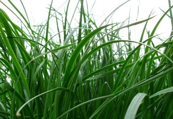 1632800228451826.jpg image.jpg