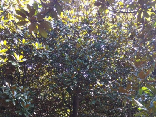 1632814056990973.jpg 1632814056990973.jpg