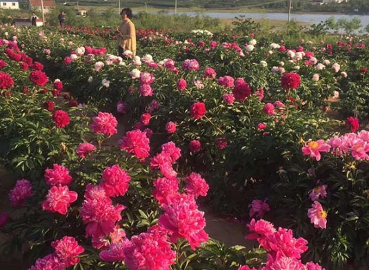 1632828576400034.jpg image.jpg