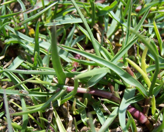 1632834462305399.jpg image.jpg