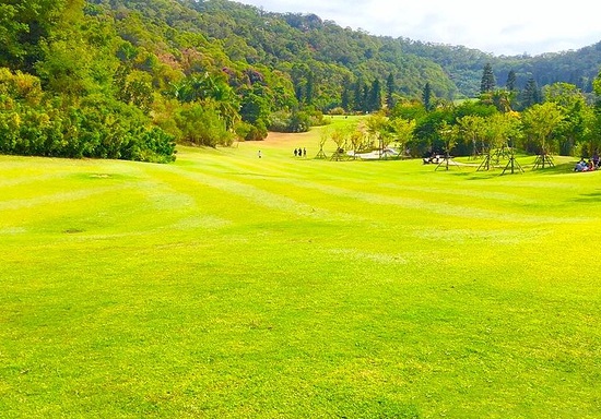 1632872909777035.jpg image.jpg