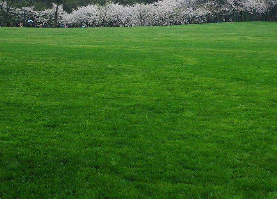 1632872929392529.jpg image.jpg