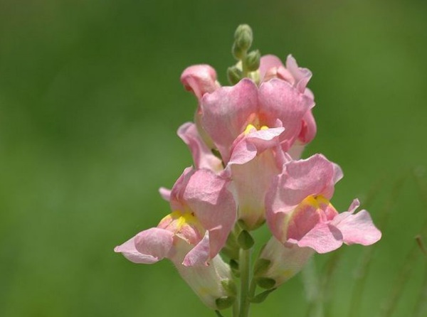 1632874955160014.jpg image.jpg