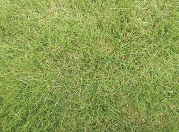 1632875238407514.jpg image.jpg