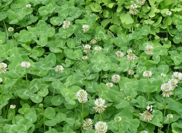 1632875573503836.jpg image.jpg