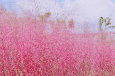 1632879153951705.jpg 1632879153951705.jpg