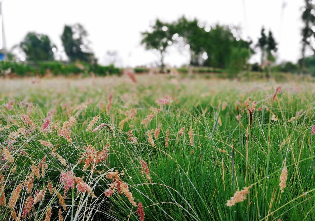 1632880857293069.jpeg 1632880857293069.jpeg