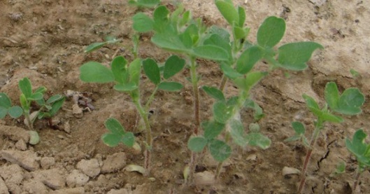 1632895558510316.jpg image.jpg