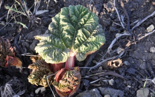 1632895706489451.jpg image.jpg