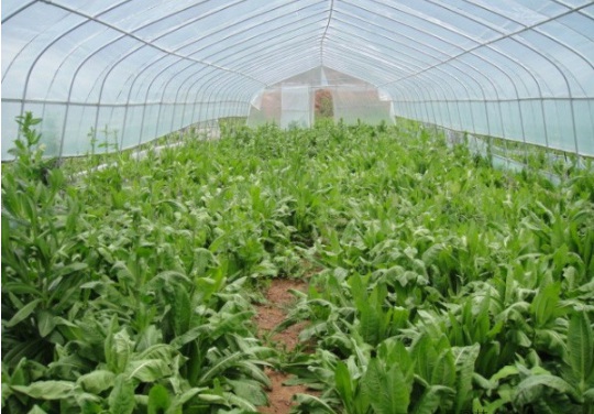 1632901827194214.jpg image.jpg