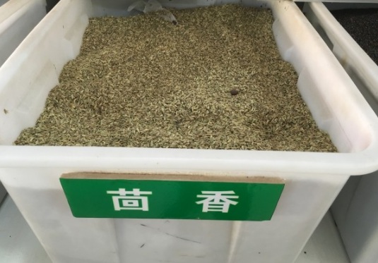 1632904184278528.jpg image.jpg