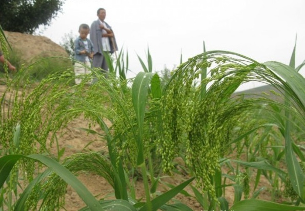 1632913962256948.jpg 圖片.jpg