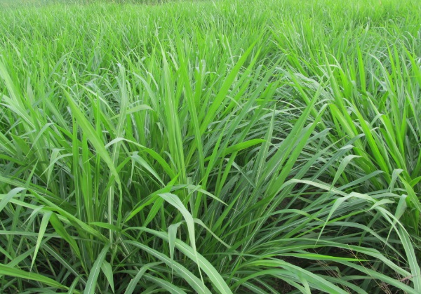 1632962347264226.jpg image.jpg