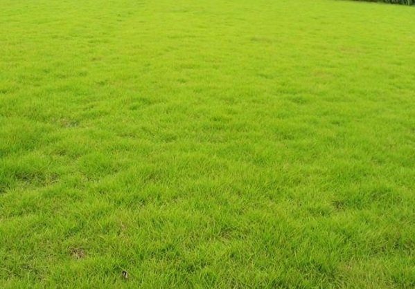 1632962992131652.jpg image.jpg