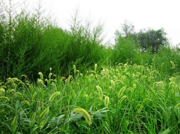 1632965250716486.jpg image.jpg