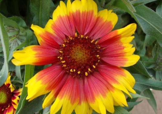 1632975071834600.jpg image.jpg