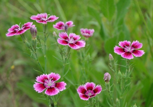 1632979269773001.jpg image.jpg