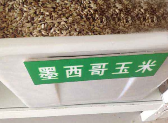 1632979318907976.jpg image.jpg