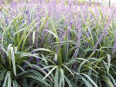 1632986701513481.jpg 1632986701513481.jpg