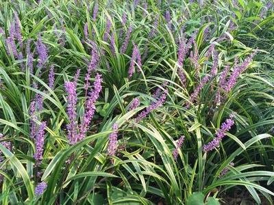 1632986725732121.jpg 1632986725732121.jpg