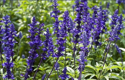 1632987744232906.jpg 1632987744232906.jpg