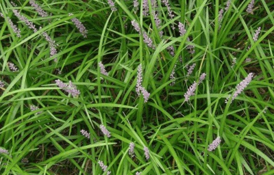 1632988897230547.jpg 1632988897230547.jpg