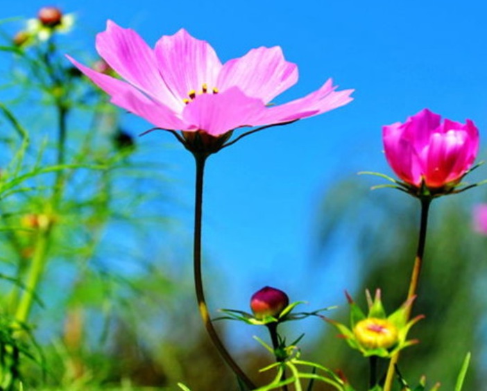 1633506815738156.jpg 1633506815738156.jpg