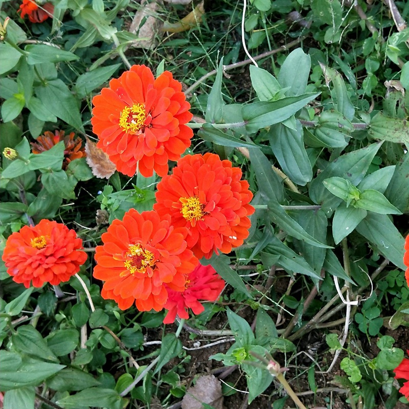 1633612524524385.jpg d8ab1be265978dc4f31d02c165ab559f_1587632733869716.jpg