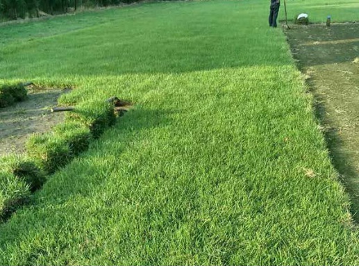 1633661277424693.jpg image.jpg