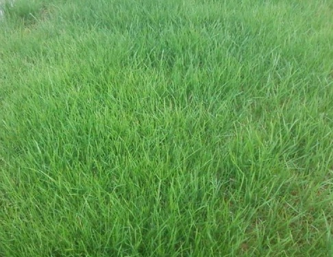 1633661299255008.jpg image.jpg