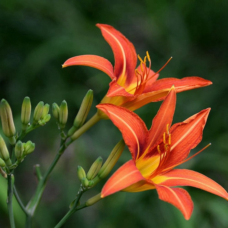 1633957436234662.jpg d860f94577246b48f17f5845c50eb508_1587980574816223.jpg