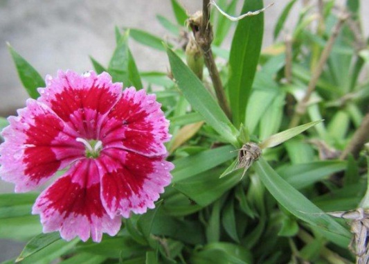 1634110644464662.jpg image.jpg