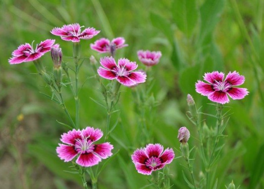 1634110664350636.jpg image.jpg