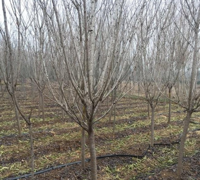 1634114818781552.jpg 圖片.jpg