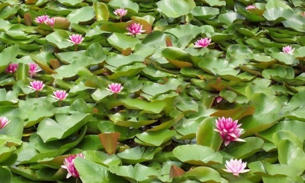 1634116975764671.jpg 圖片.jpg