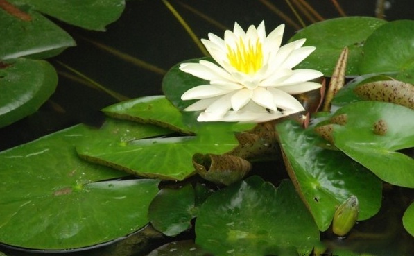 1634117003458780.jpg 圖片.jpg