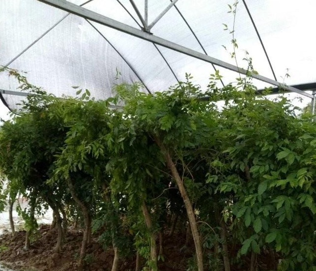 1634118004247769.jpg 圖片.jpg