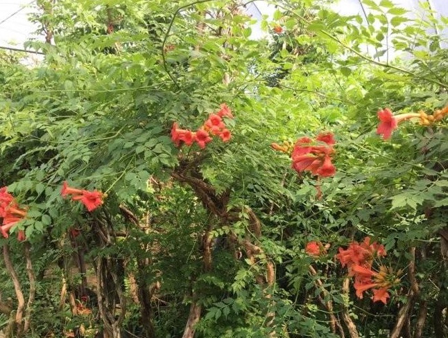 1634118014792802.jpg 圖片.jpg