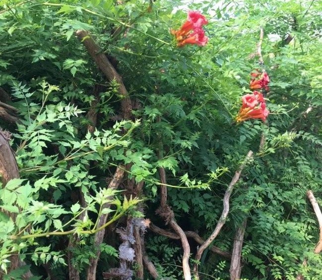 1634118026715939.jpg 圖片.jpg