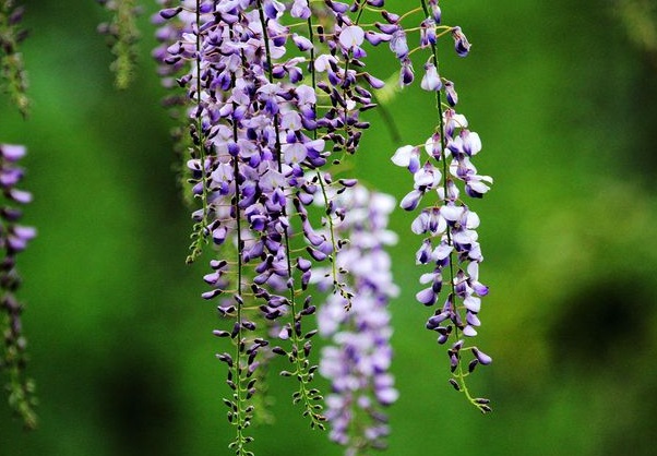 1634118238664257.jpg image.jpg