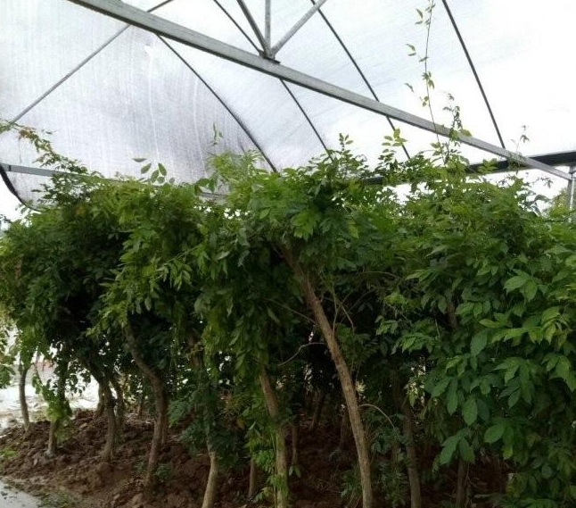 1634118679603892.jpg 圖片.jpg