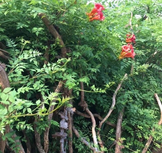 1634118735698646.jpg 圖片.jpg