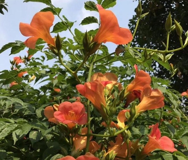 1634122050718082.jpg 圖片.jpg